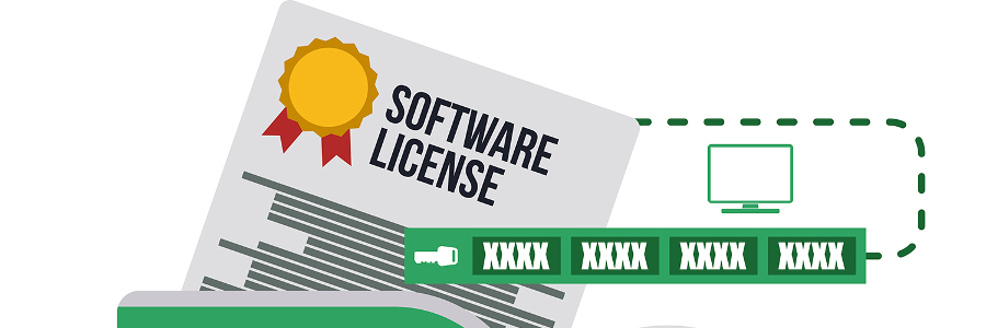 Aspects of virtualization: licenses
